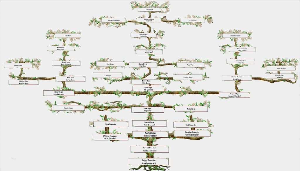 Vorlage Für Ahnentafel Luxus Suhrsoft Individualsoftware Und Genealogieprogramme