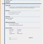 Vorlage Für Businessplan Best Of Frisches Bilanz Vorlage Word