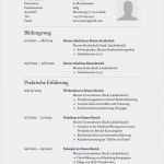 Vorlage Für Datenschutzerklärung Schön Lebenslauf Muster Für assistent