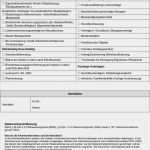 Vorlage Für Datenschutzerklärung Schönste atemberaubend Vorlage Für Datenschutzerklärung Fotos