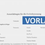 Vorlage Für Datenschutzerklärung Wunderbar Vorlage Anmeldebogen Für Ferienbetreuung Pdf