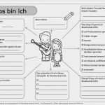 Vorlage Für Ein Lesetagebuch Unterrichtsmaterial Neu Ideenreise Blog