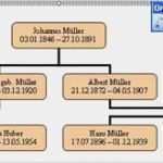 Vorlage Für Familienstammbaum Bewundernswert Word Vorlage Familien Stammbaum Download Chip