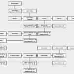 Vorlage Für Stammbaum Best Of Suhrsoft Individualsoftware Und Genealogieprogramme