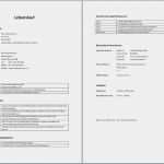 Vorlage Für Tabellarischen Lebenslauf Cool Tabellarischer Lebenslauf Muster Aufbau Word Vorlage