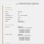 Vorlage Für Tabellarischen Lebenslauf Inspiration Vordruck Lebenslauf Word Lebenslauf Beispiel