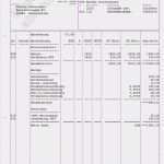 Vorlage Gehaltsabrechnung Minijob Erstaunlich Gehaltsabrechnung Vorlage Excel – De Excel