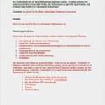 Vorlage Geschäftsplan Elegant Businessplan Maurer Hochbau Muster Vorlage Zum Download