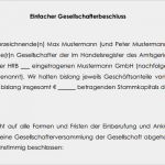 Vorlage Gesellschafterbeschluss Cool Niederschrift über Beschluss Der Gesellschafterversammlung