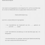 Vorlage Gesellschaftsvertrag Schönste Ein Mann Gmbh Gesellschaftsvertrag