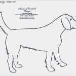Vorlage Gesundheitszeugnis Hund Schönste Master Of Dumphill Beagletipp S &amp; Info S