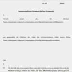 Vorlage Handschriftliches Testament Cool Berliner Testament Muster Download