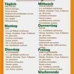 Vorlage Haushaltsplan Genial Haushaltsplan Putzen Vorlage Tun Dokumentations