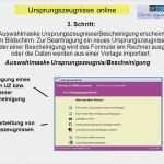 Vorlage Herstellererklärung Luxus Ursprungszeugnisse Und Bescheinigungen Ppt Herunterladen