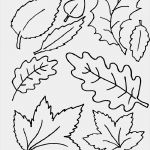 Vorlage HTML Erstaunlich Minuth Vorlagen