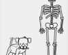 Vorlage Hund Malen Großartig Kostenlose Malvorlage Halloween Skelett Und Hund Ausmalen