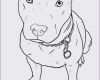 Vorlage Hund Malen Hübsch Hund Malen Vorlage Meilleur De Galerie Malvorlagen Katzen