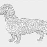 Vorlage Hund Malen Neu Hund Malen Vorlage Meilleur De Galerie Malvorlagen Katzen