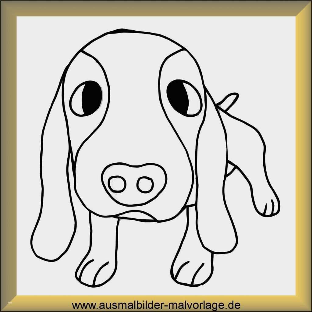 34 Angenehm Vorlage Hund Malen Vorräte | siwicadilly.com