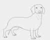 Vorlage Hund Malen Schönste Kostenlose Malvorlage Hunde Dachshund Zum Ausmalen