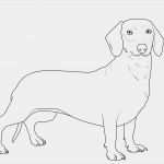 Vorlage Hund Malen Schönste Kostenlose Malvorlage Hunde Dachshund Zum Ausmalen