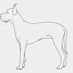 Vorlage Hund Malen Schönste Kostenlose Malvorlage Hunde Deutsche Dogge Zum Ausmalen