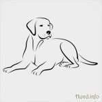 Vorlage Hund Malen Wunderbar Hund Malen Vorlage Meilleur De Galerie Malvorlagen Katzen