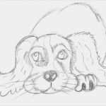 Vorlage Hund Malen Wunderbar Tier Abc H Wie Hund Hund Zeichnen Und Malen Lernen