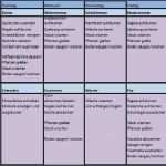 Vorlage Hygieneplan Einzigartig Reinigungsplan Gastronomie Vorlage Neu Reinigungsplan Und