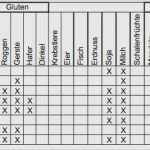Vorlage Hygieneplan Großartig Hygieneplan Vorlage Angenehm Umsetzung Der Allergen