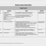 Vorlage Hygieneplan Großartig Med Online