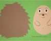 Vorlage Igel Laterne Wunderbar Igel Basteln Aus tonpapier – Die Beste Wohnkultur