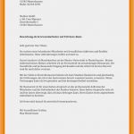 Vorlage Innerbetriebliche Bewerbung Einzigartig 4 5 Innerbetriebliche Bewerbung Vorlage