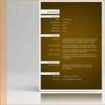 Vorlage Innerbetriebliche Bewerbung Schön Curriculum Vitae Vorlage Mit Anschreiben Zum Download