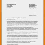 Vorlage Interne Stellenausschreibung Angenehm 18 Interne Stellenausschreibung Bewerbung Muster