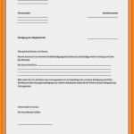 Vorlage Internet Kündigung Best Of 17 Kündigung Internet Vorlage