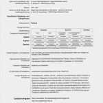 Vorlage Internetseite Angenehm "aspekte Der Germanistik" Europass Lebenslauf