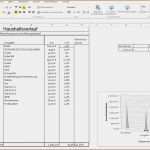 Vorlage Inventarliste Hausrat Großartig 19 Inventarliste Vorlage Excel Vorlagen123 Vorlagen123