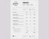 Vorlage Invoice Neu Graphy Invoice Template Receipt Template Shop