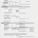 Vorlage Invoice Süß Best Invoice Template for Contractor
