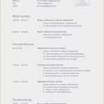 Vorlage It Sicherheitskonzept Schönste 30 Neu Bewerbung It Muster Yayaconnection