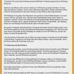 Vorlage Kassenbericht Verein Angenehm Testament Muster Kostenlos Ausdrucken Inspirierend Besten