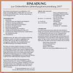 Vorlage Kassenbericht Verein Einzigartig Muster Kassenbericht Verein