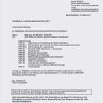 Vorlage Kassenbericht Verein Elegant Muster Kassenbericht Verein