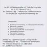 Vorlage Kassenbericht Verein Wunderbar 17 Kassenbericht Verein Muster