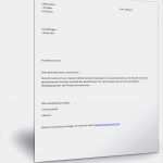 Vorlage Kassenbericht Verein Wunderbar Testament Muster Kostenlos Ausdrucken Inspirierend Besten