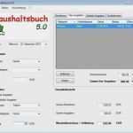 Vorlage Kassenprüfung Einzigartig 17 Finanzübersicht Excel