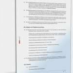 Vorlage Kassenprüfung Gut Statut Des Vereins Muster Vorlage Zum Download