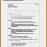 Vorlage Kassenzählprotokoll Schönste 15 Handout Aufbau Muster