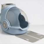 Vorlage Katzentoilette Inspiration Welches Katzenklo Braucht Ihr Haustiger Tier Tv